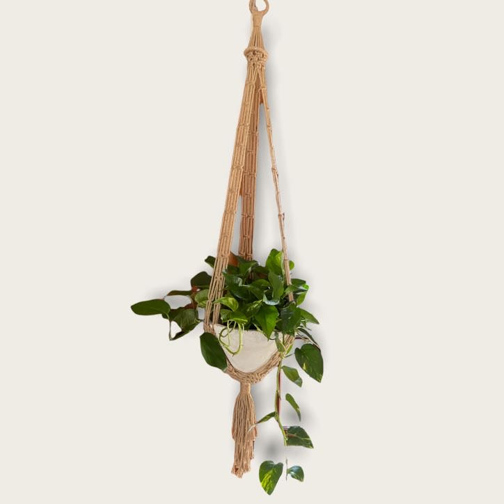 Hang on to Plant Hanger, 1 basket